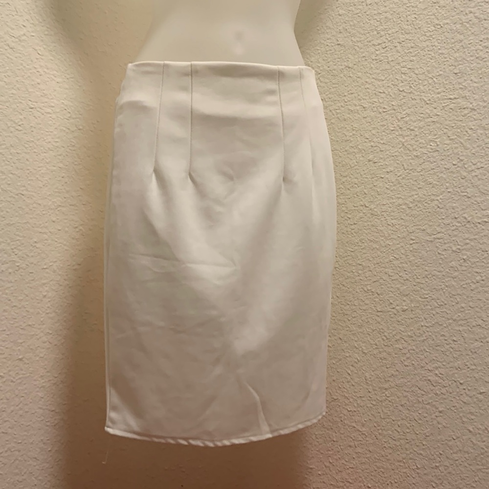Dressy Skirt